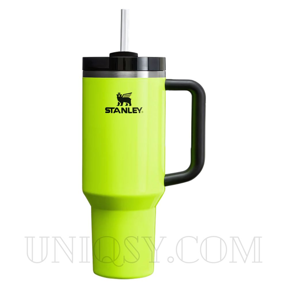 Stanley 40 OZ Tumbler Cup with Handle